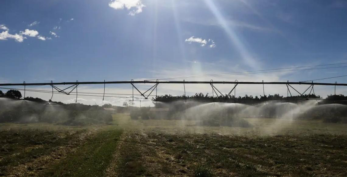 Ameaça sobre espécies dependentes do solo é desconhecida, diz estudo