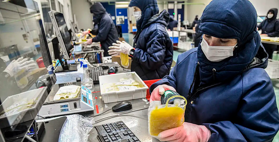 Dia Mundial da Hemofilia: Campanha reforça importância do diagnóstico 