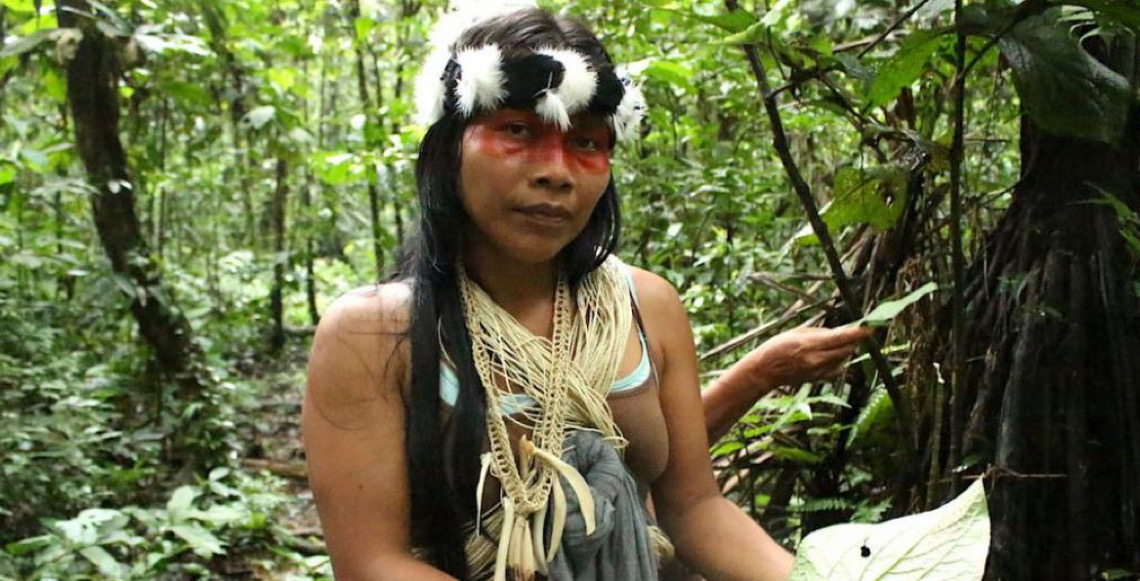 Fórum Indígena da ONU debate garantia da saúde em meio a conflitos e poluição