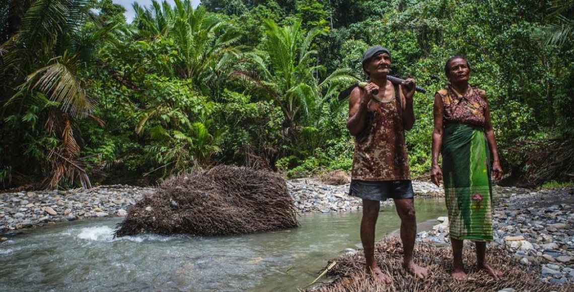 Pesquisa da FAO revela que florestas empregam 42 milhões de pessoas no mundo