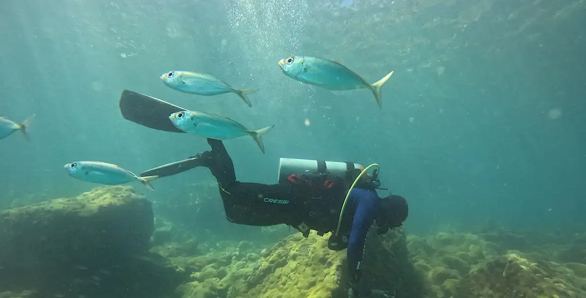 ONG busca ciência para orientar manejo sustentável de costões rochosos 