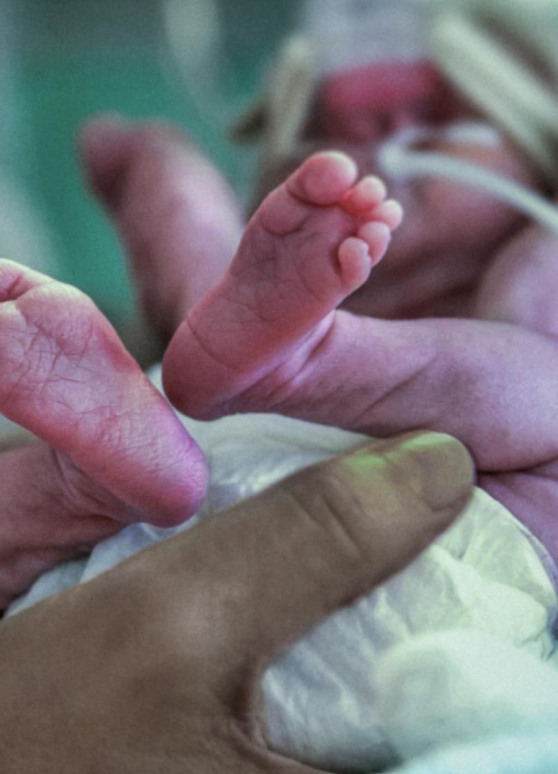 4 mil recém-nascidos foram beneficiados com leite humano no DF este ano; como doar