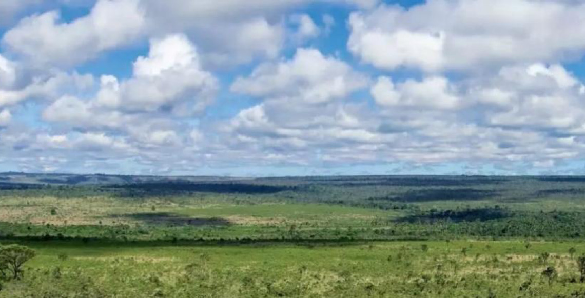 Cooperação entre ICMBio e UnB reforça conservação da Área de Relevante Interesse Ecológico Capetinga Taquara no DF