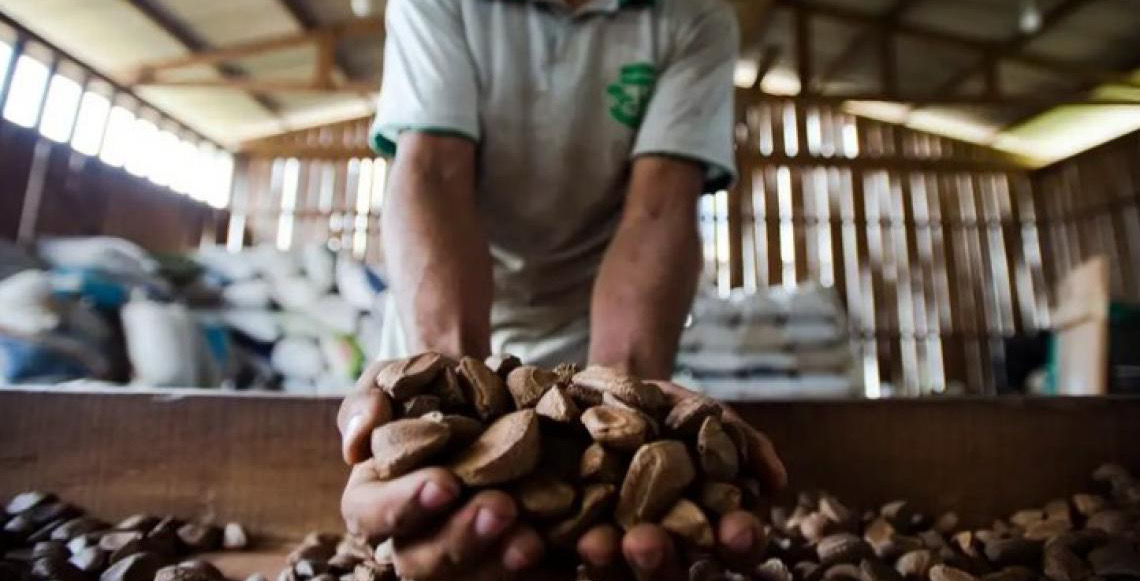 15% das patentes em biotecnologia do Brasil partem das universidades federais do Nordeste