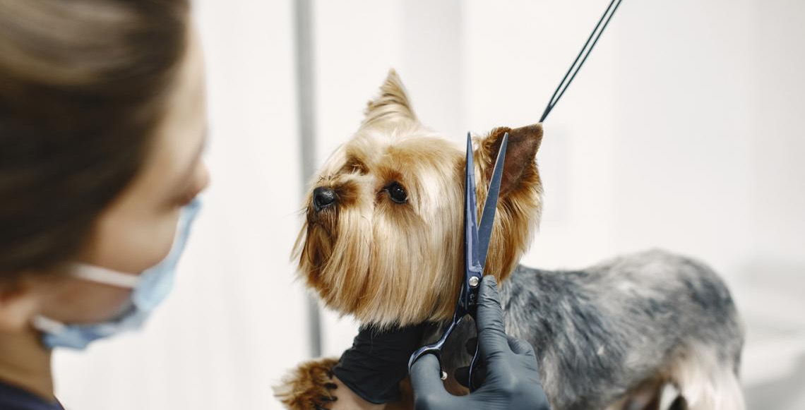 Agências do trabalhador abrem a semana com 713 vagas disponíveis nesta segunda, 27