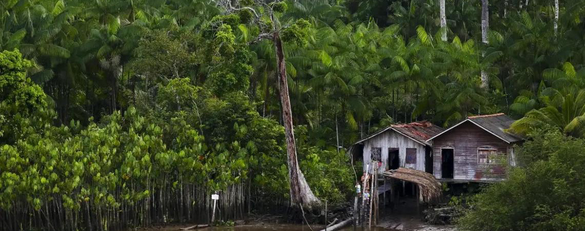 Projeto leva tratamento gratuito a doenças negligenciadas no Amazonas