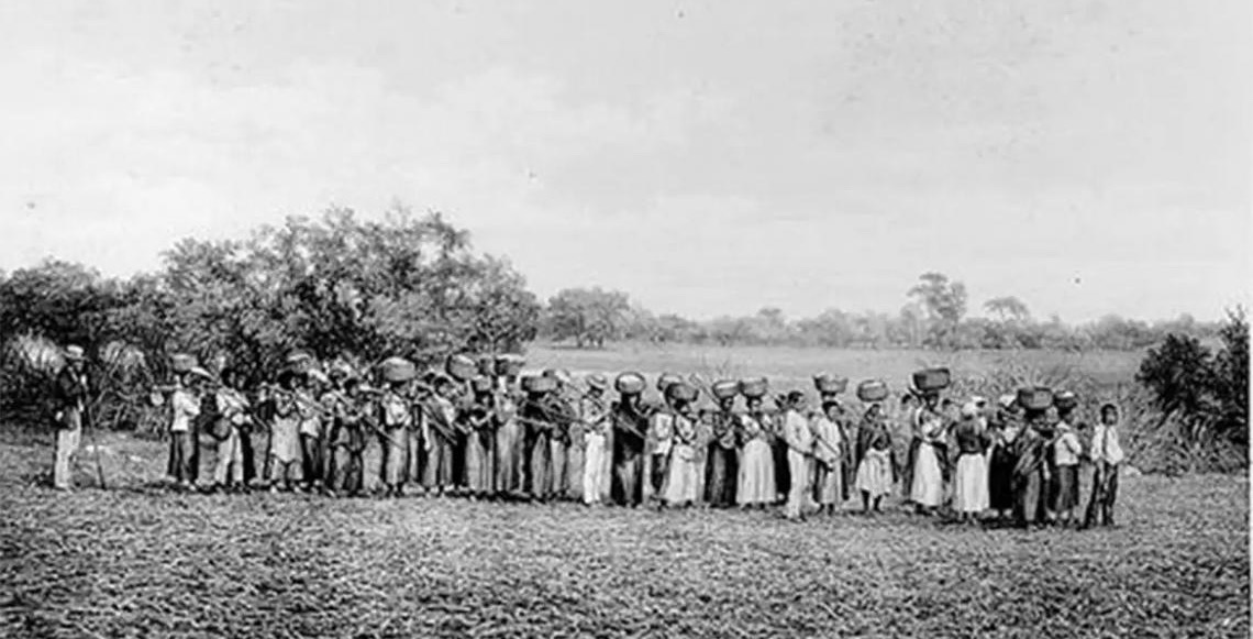 Maioria de empresários que apoiou a ditadura militar vem de famílias escravistas