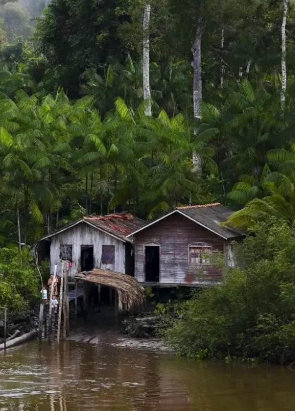 Projeto leva tratamento gratuito a doenças negligenciadas no Amazonas
