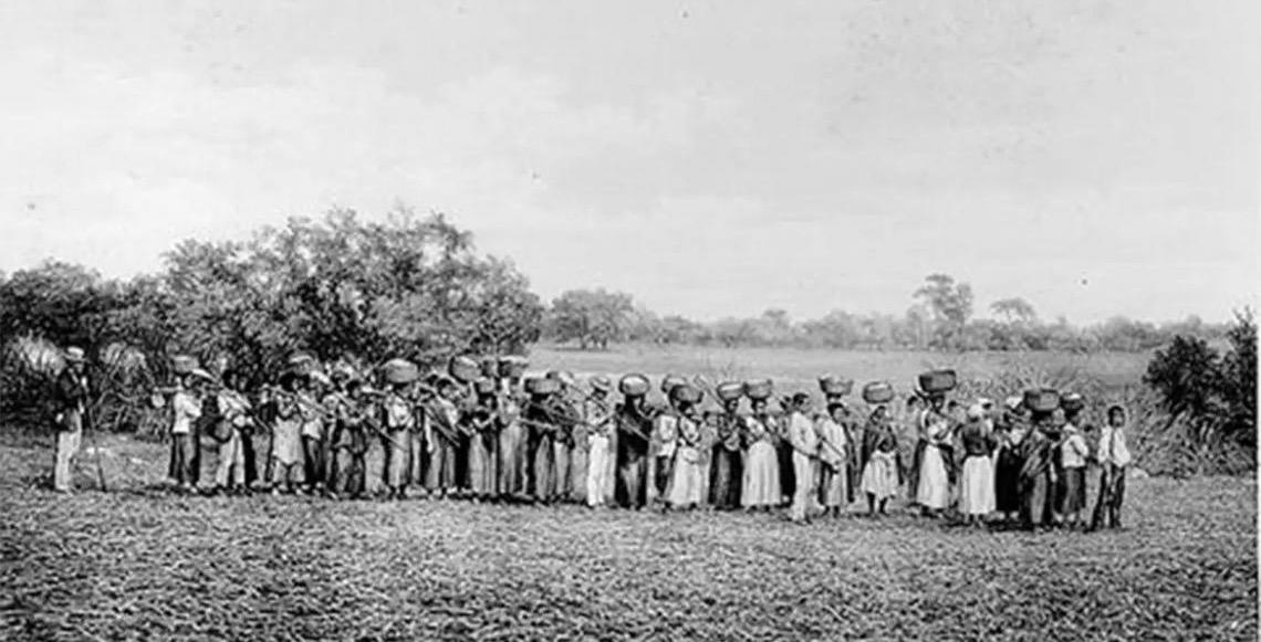 Maioria de empresários que apoiou a ditadura militar vem de famílias escravistas