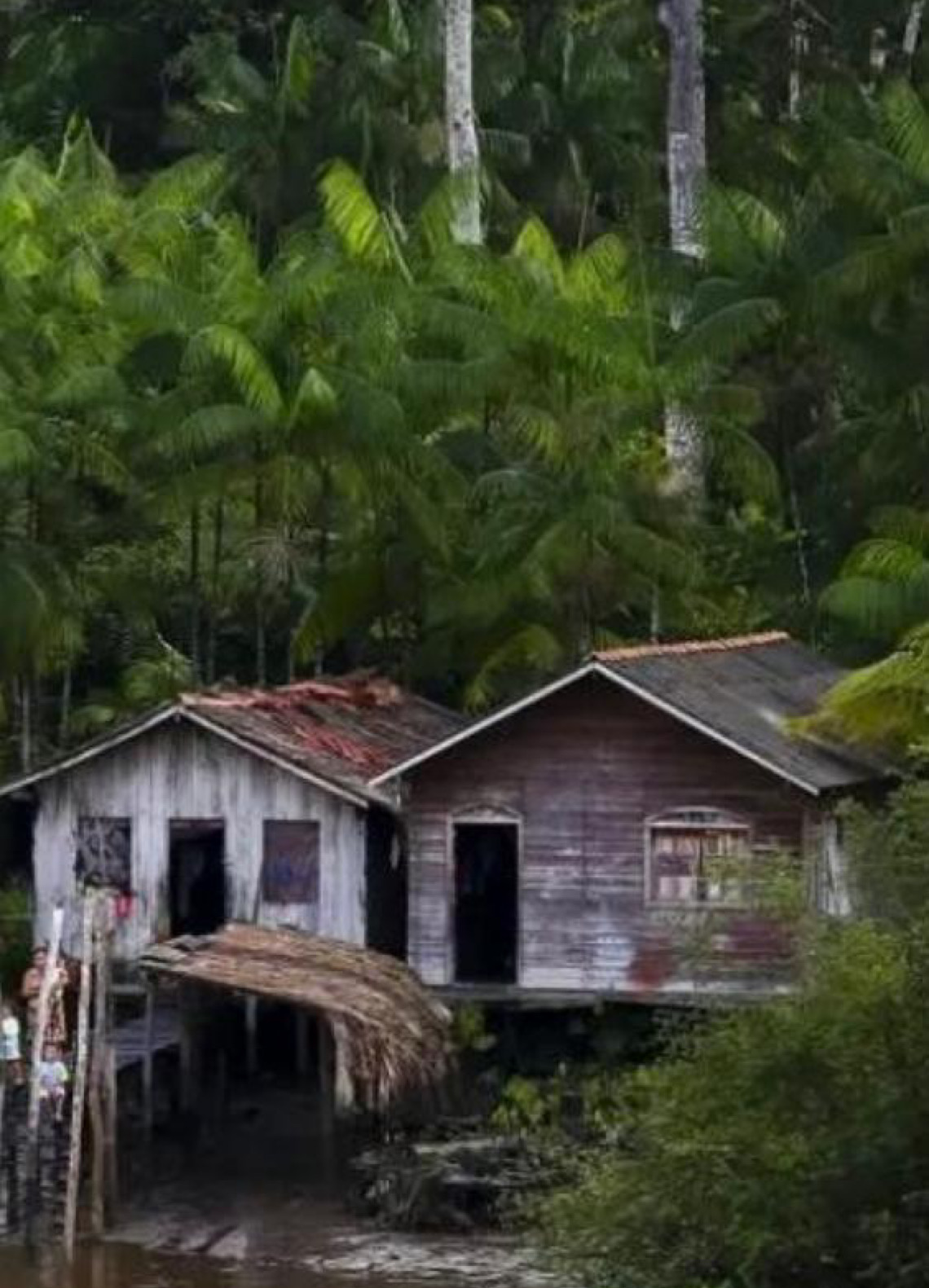 Projeto leva tratamento gratuito a doenças negligenciadas no Amazonas