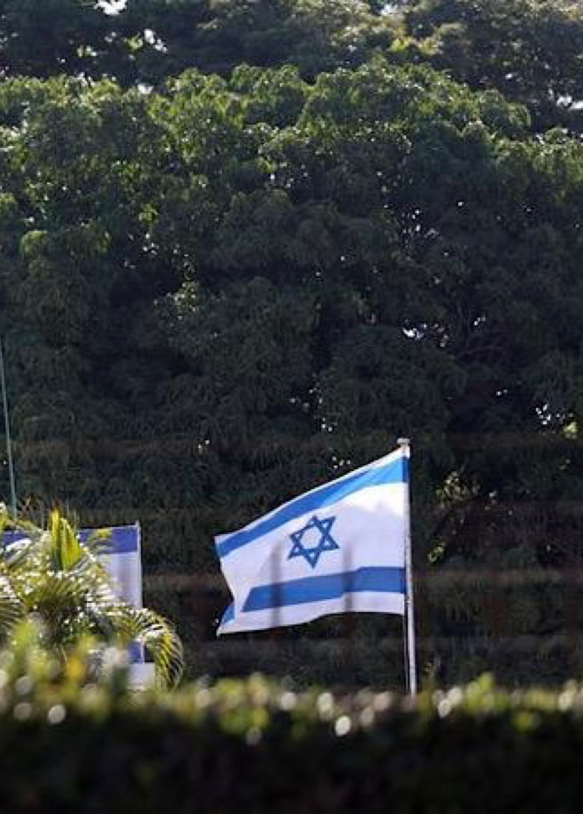 Criminalização de críticas ao governo de Israel preocupa especialistas 