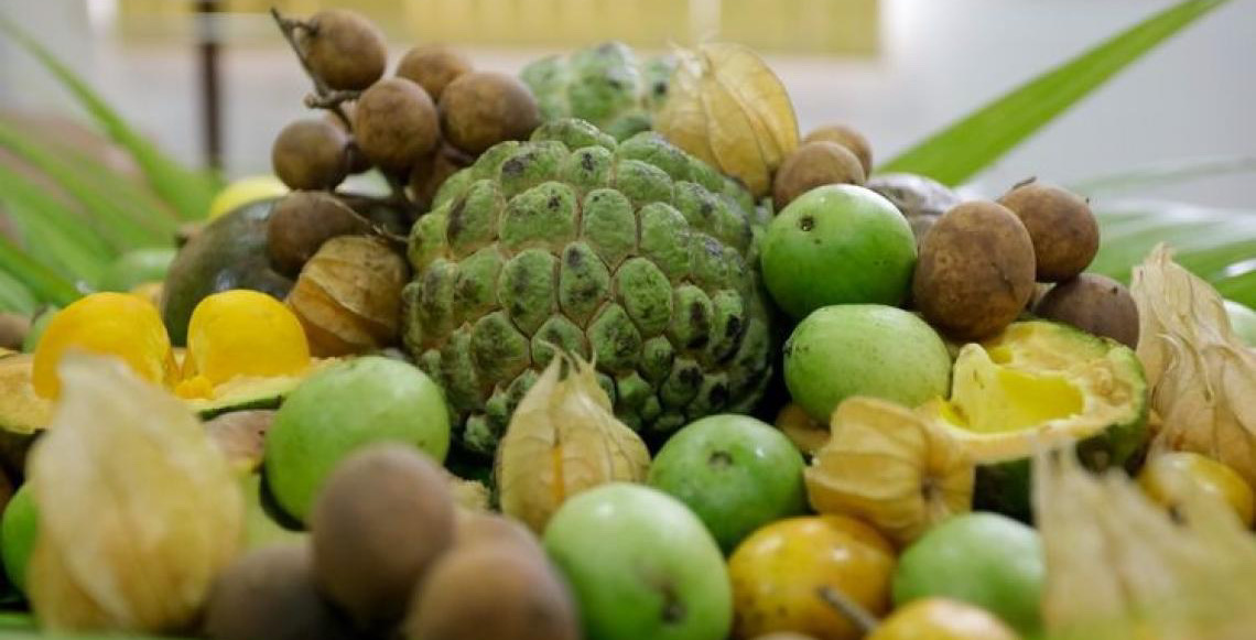 Governo do Brasil lança edital de R$ 50 milhões para fortalecer agricultores familiares