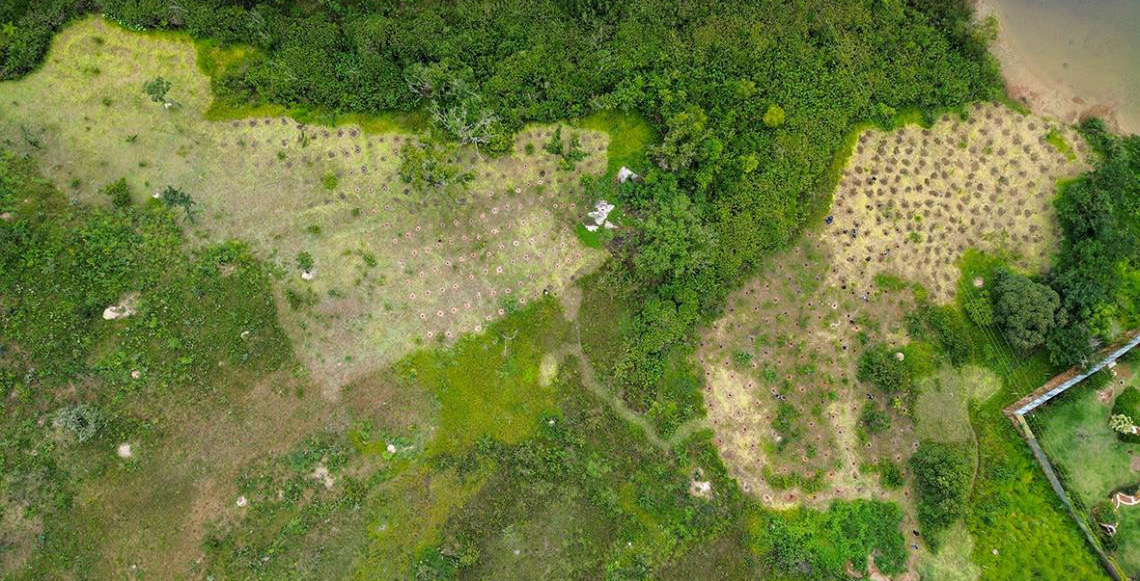 Sancionada lei que retira Serrinha e área da Saúde do plano de capitalização do BRB
