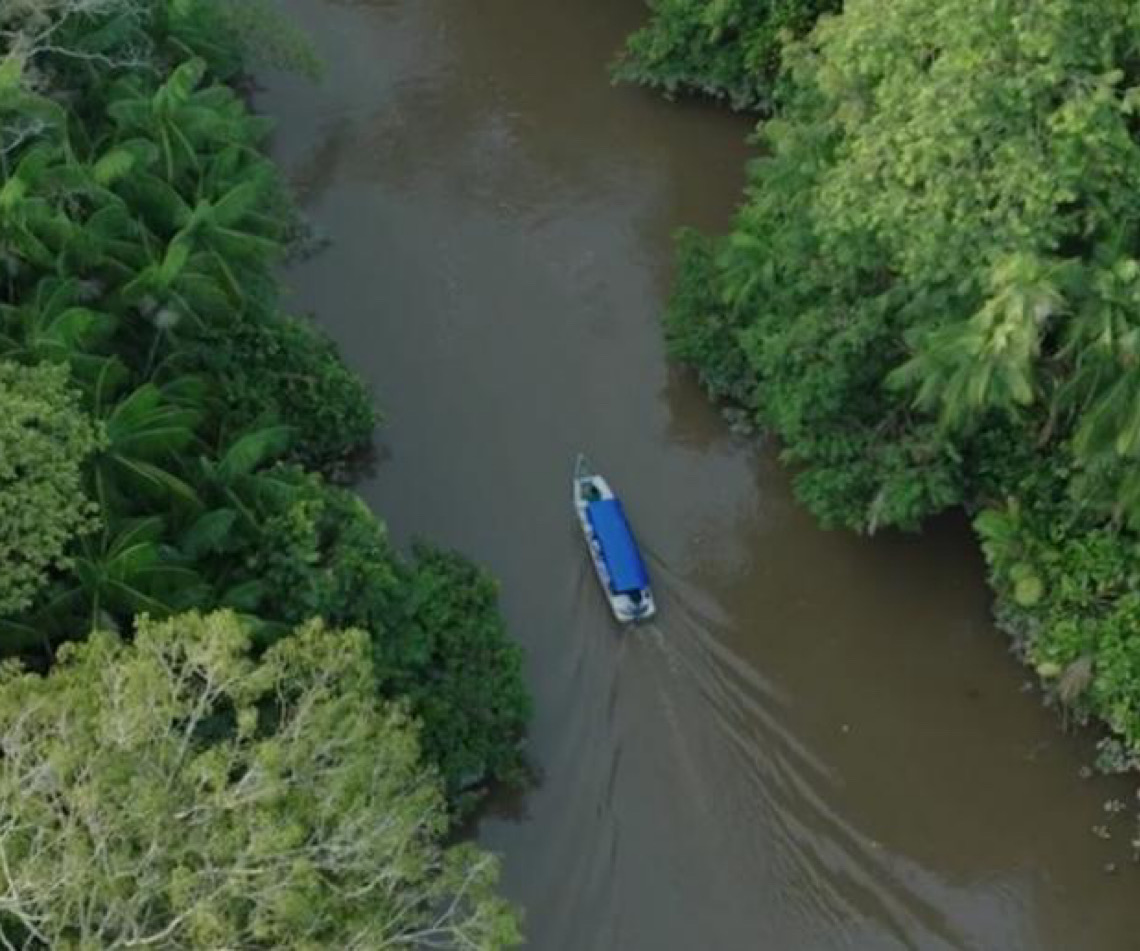 Brasil expande manejo sustentável de florestas, diz ONU