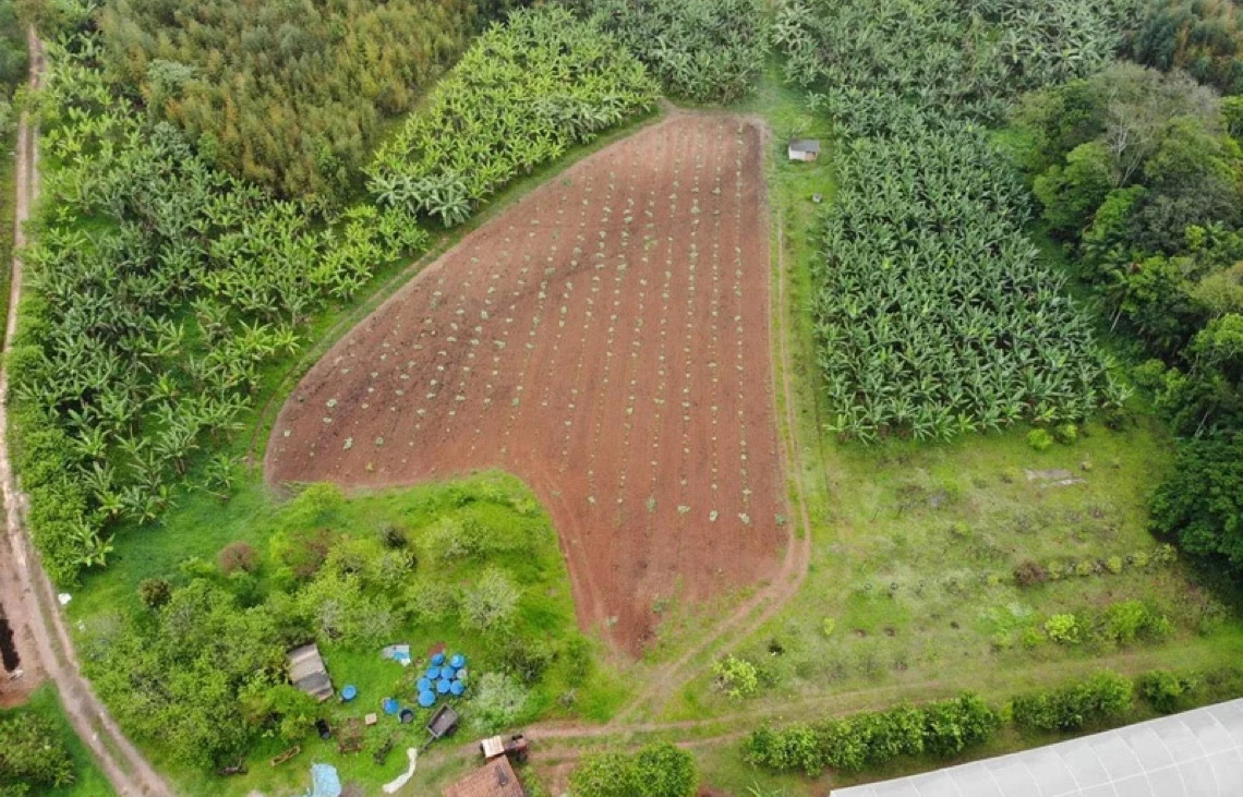 Conselho Monetário adia para 2027 bloqueio a crédito rural para produtores com desmatamento