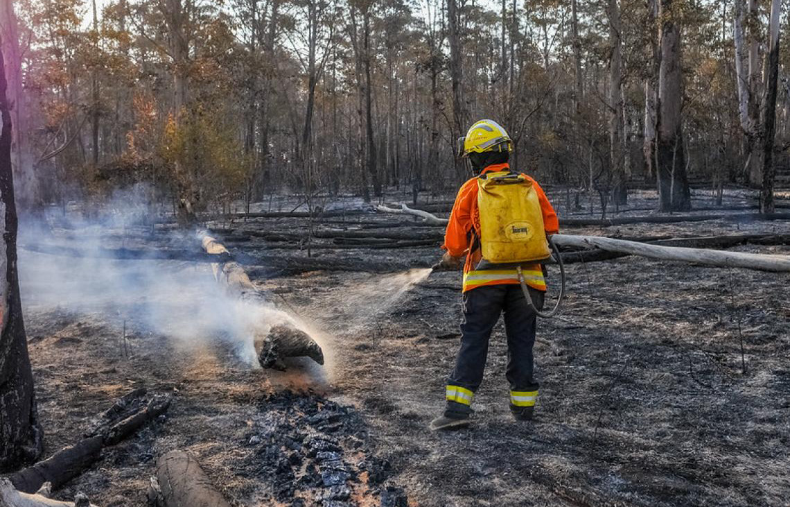 Governo do DF decreta emergência ambiental para reforçar combate a incêndios florestais