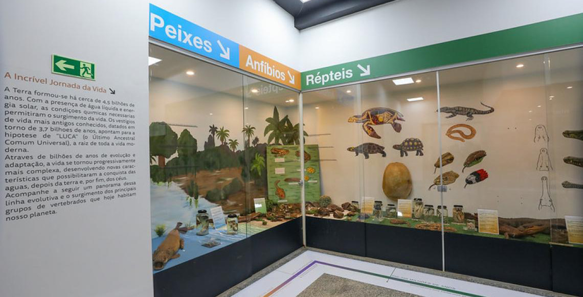 Museu de Ciências Naturais do Zoológico de Brasília é reaberto após reforma