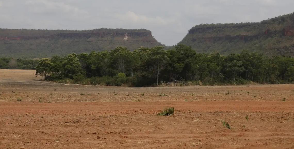 Fragmentos de vegetação nativa cresceram no país 163% em 38 anos, diz estudo do Mapbiomas