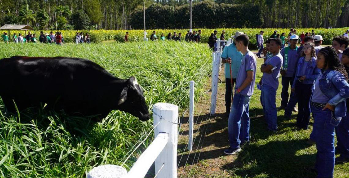 Circuito da Bovinocultura na AgroBrasília 2026 tem foco na produção de carne