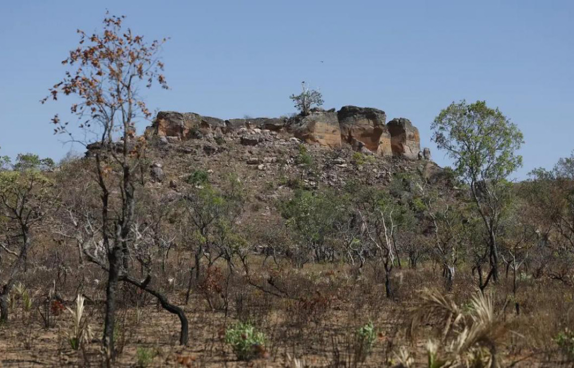 Projetos de Lei promovem retrocesso na legislação e ameaçam biomas e biodiversidade