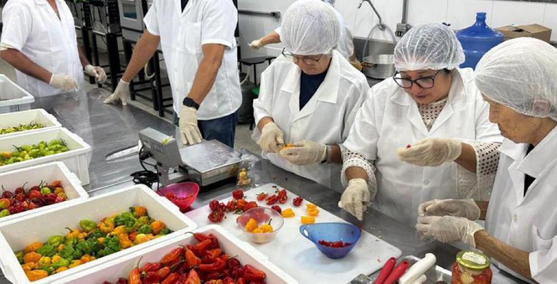 Cultivo de pimentas e outras tecnologias são destaques do Circuito de Hortaliças na AgroBrasília
