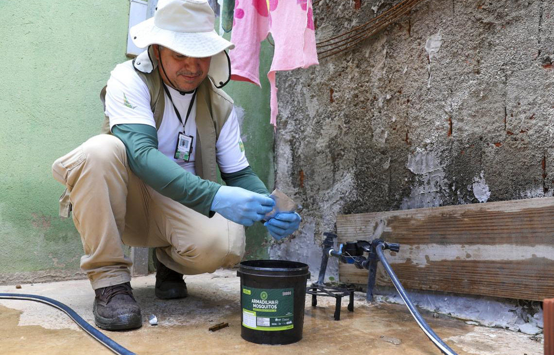 Auditoria avalia armadilhas que capturam mosquitos e ajudam o DF a combater a dengue