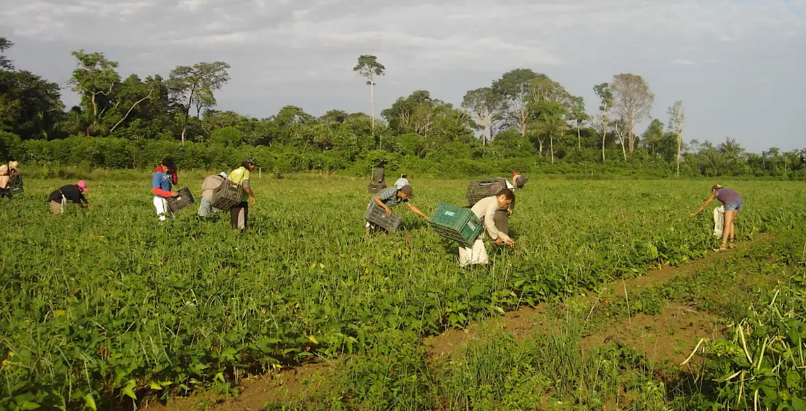 Prêmio para produção acadêmica destaca agricultura familiar 