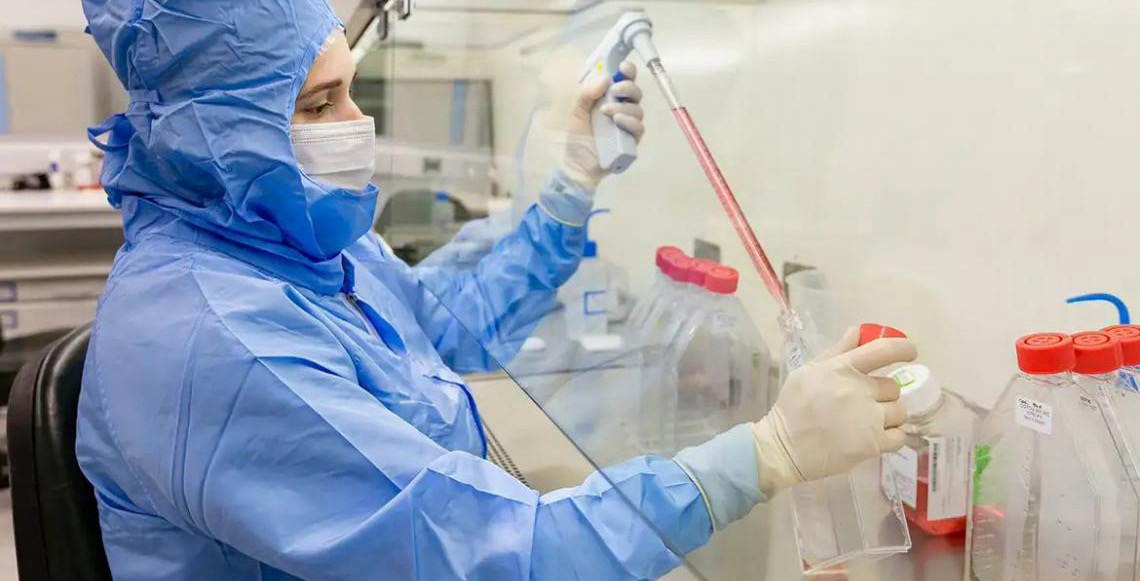 Estudo da PUCPR usa células-tronco contra complicações do transplante de medula