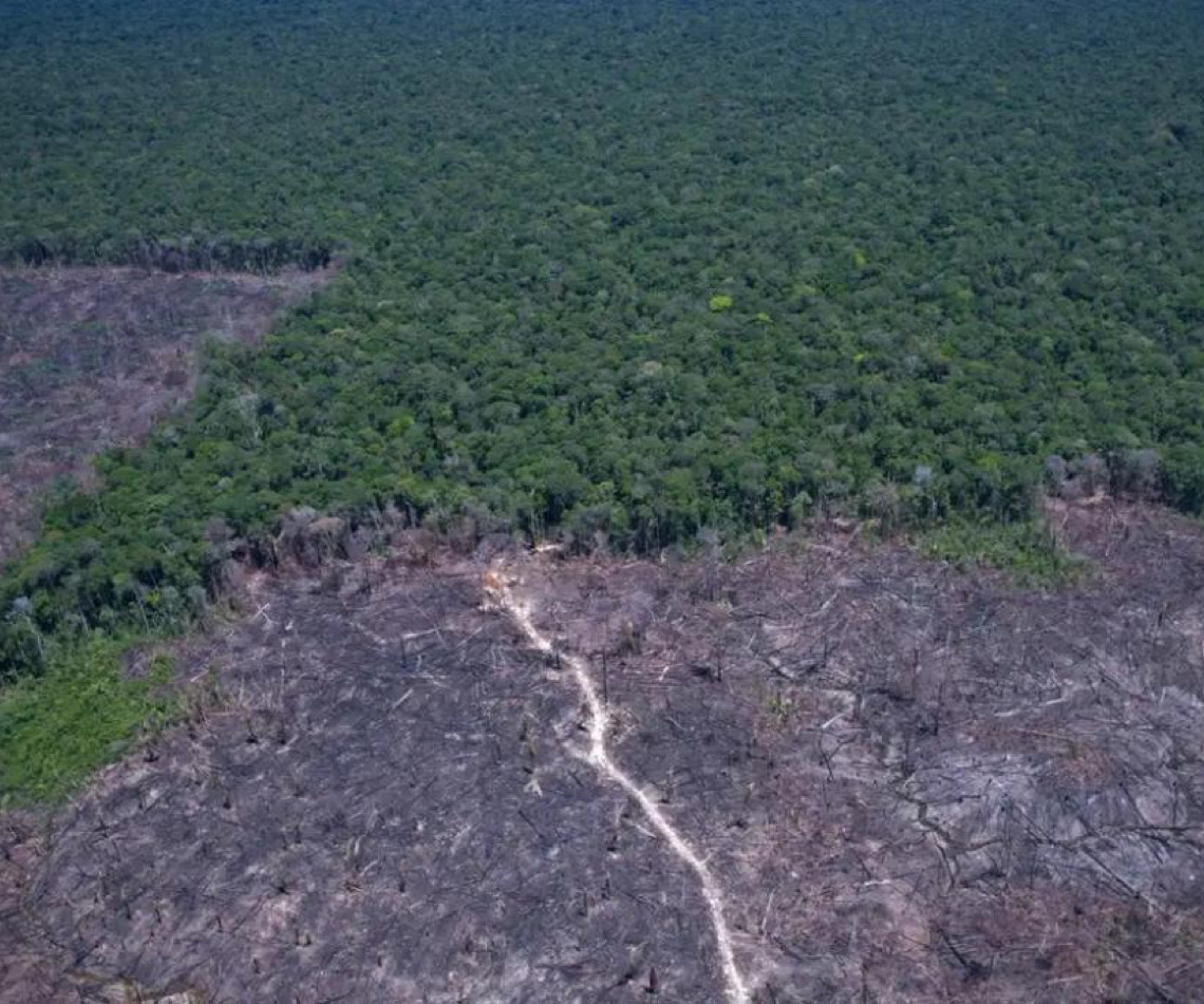 Países discutem solução para combustível fóssil e desmatamento ilegal
