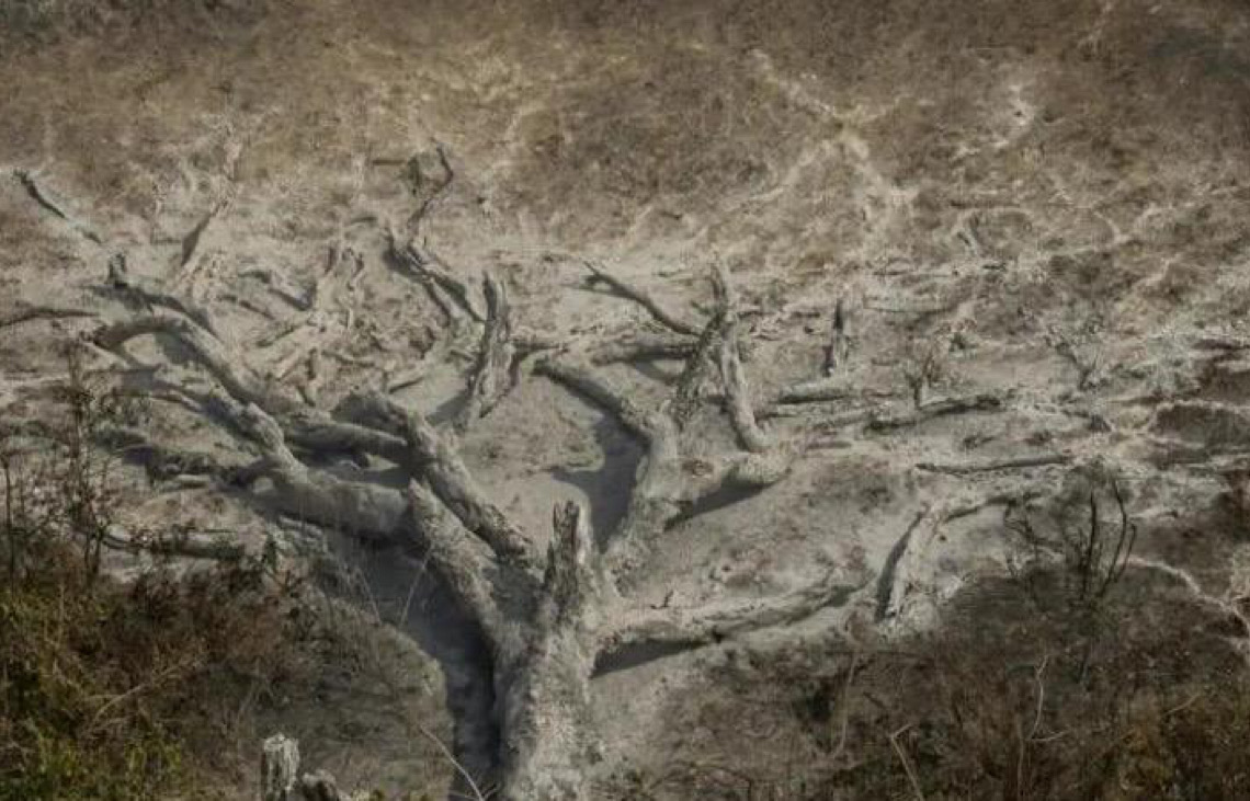 Mudanças climáticas já afetam 85% dos brasileiros, diz pesquisa sobre a transição de energias