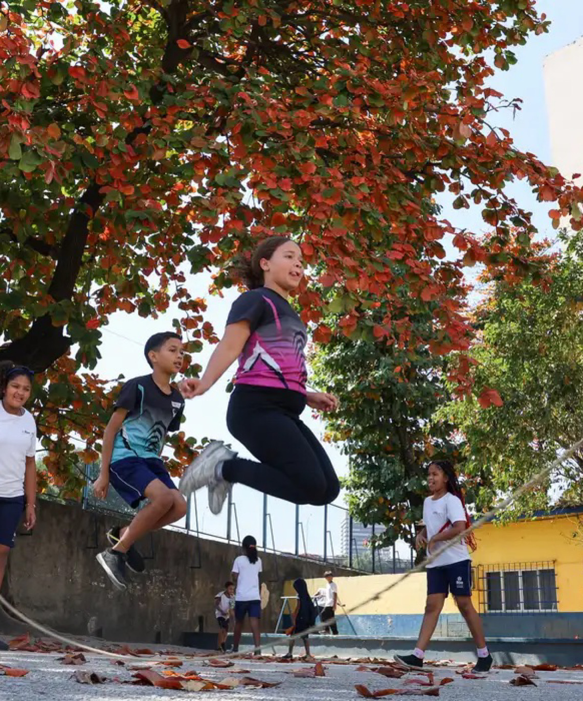 Livre brincar deve ser um compromisso coletivo com a infância 