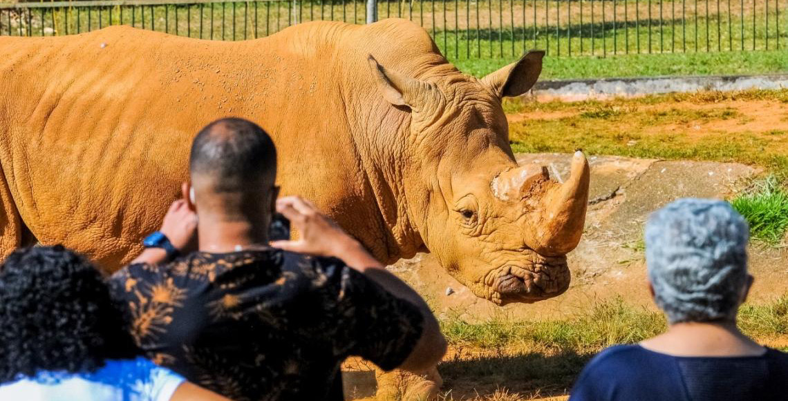 Capacitação garante mais segurança no manejo de animais no Zoológico de Brasília