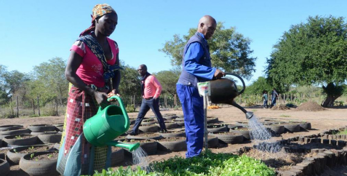 Países precisam diversificar produção para garantir segurança alimentar, diz FAO