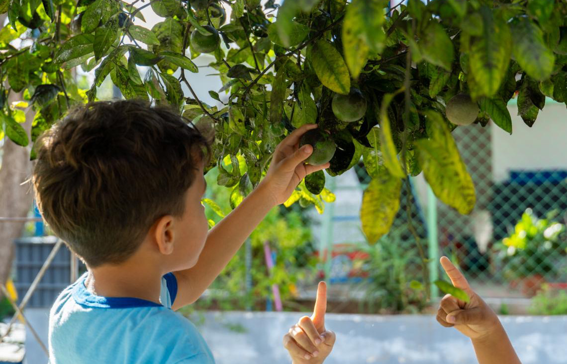 Escolas da rede pública do Distrito Federal formam guardiões do meio ambiente