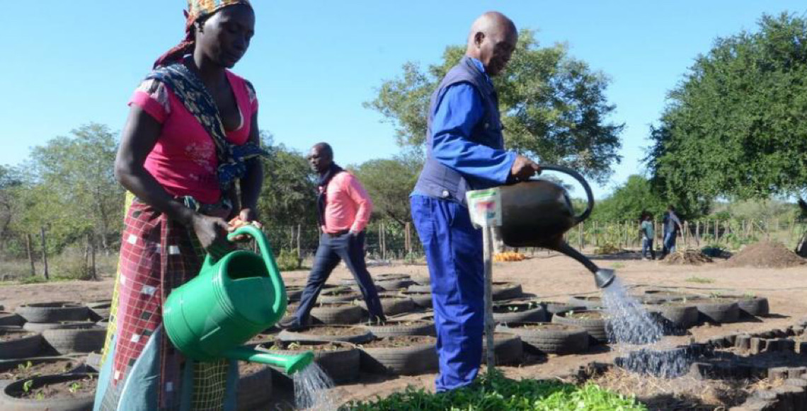 Países precisam diversificar produção para garantir segurança alimentar, diz FAO