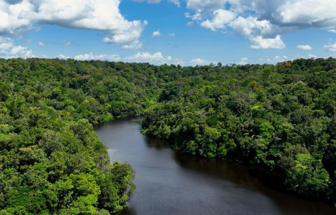 No Dia Mundial do Meio Ambiente, Governo do Brasil ressalta avanços conquistados pelo país desde 2023