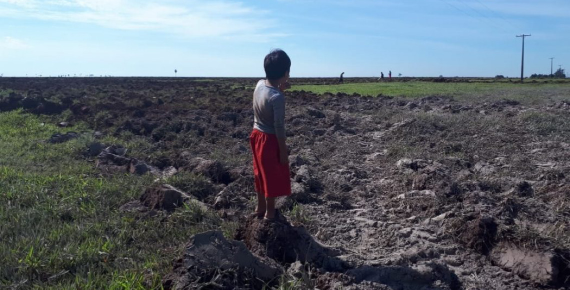 Fazendeiros usam agrotóxicos para expulsar aldeia indígena em Rondônia, diz MPF