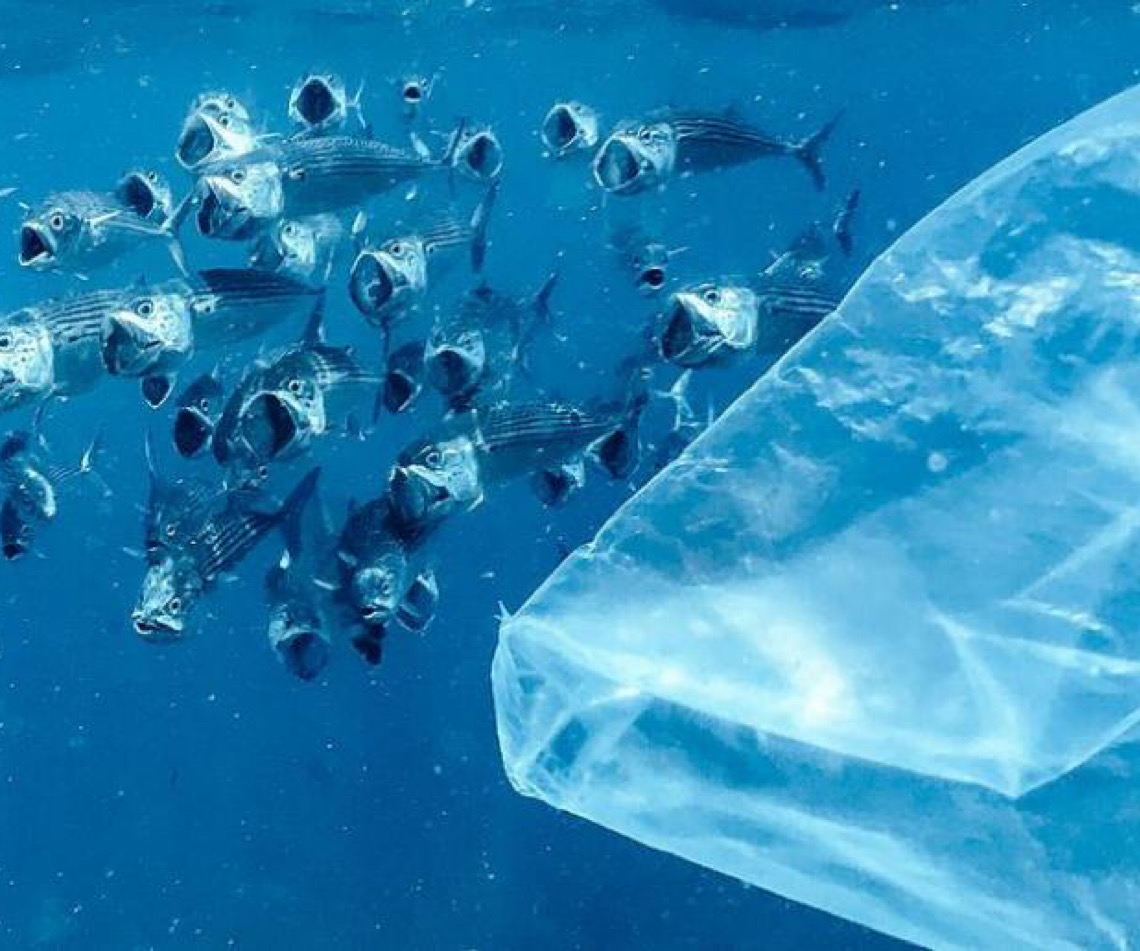 Relatório da ONU revela que oceanos estão mais elevados, aquecidos e poluídos