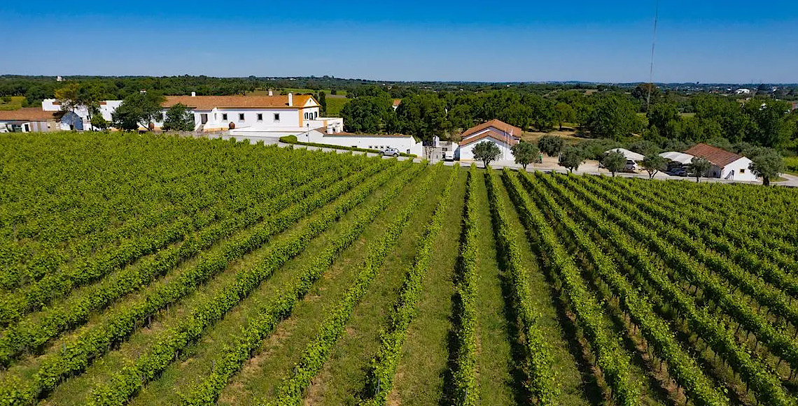 Vinho português pode ultrapassar argentino com queda de imposto no Brasil