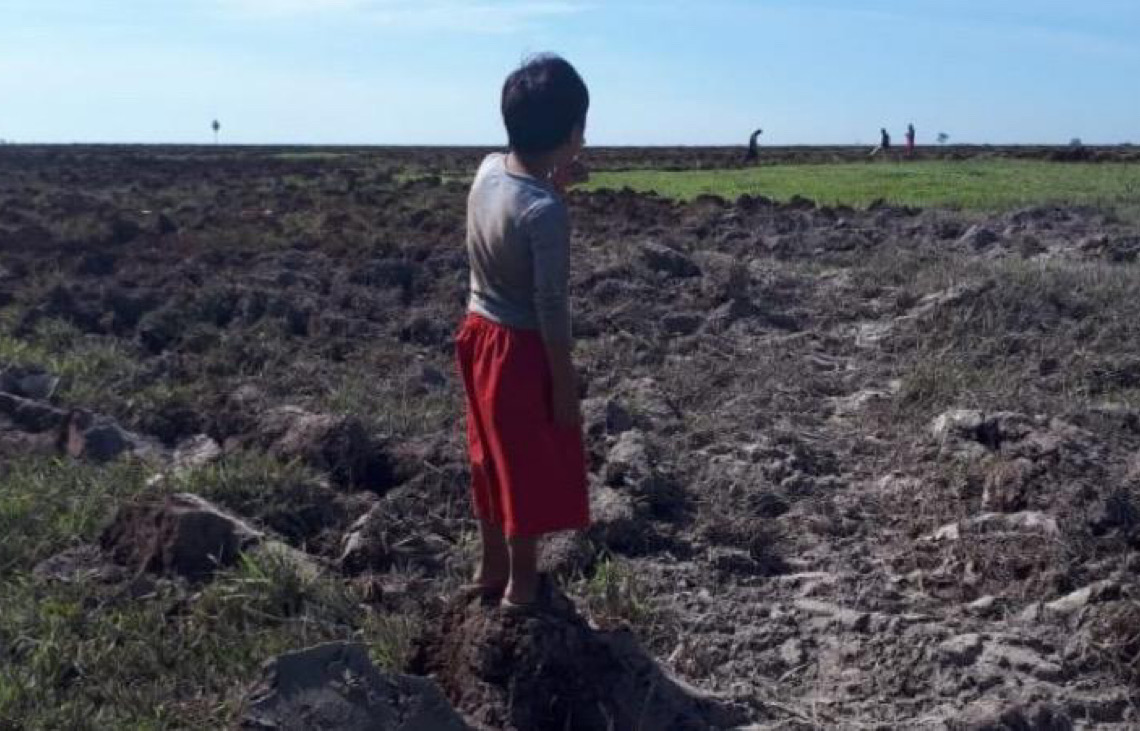 Fazendeiros usam agrotóxicos para expulsar aldeia indígena em Rondônia, diz MPF