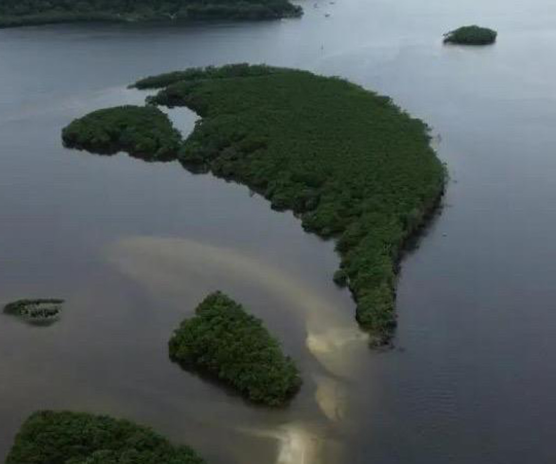 Carbono azul ganha espaço na agenda climática dos oceanos no Dia Mundial dos Oceanos