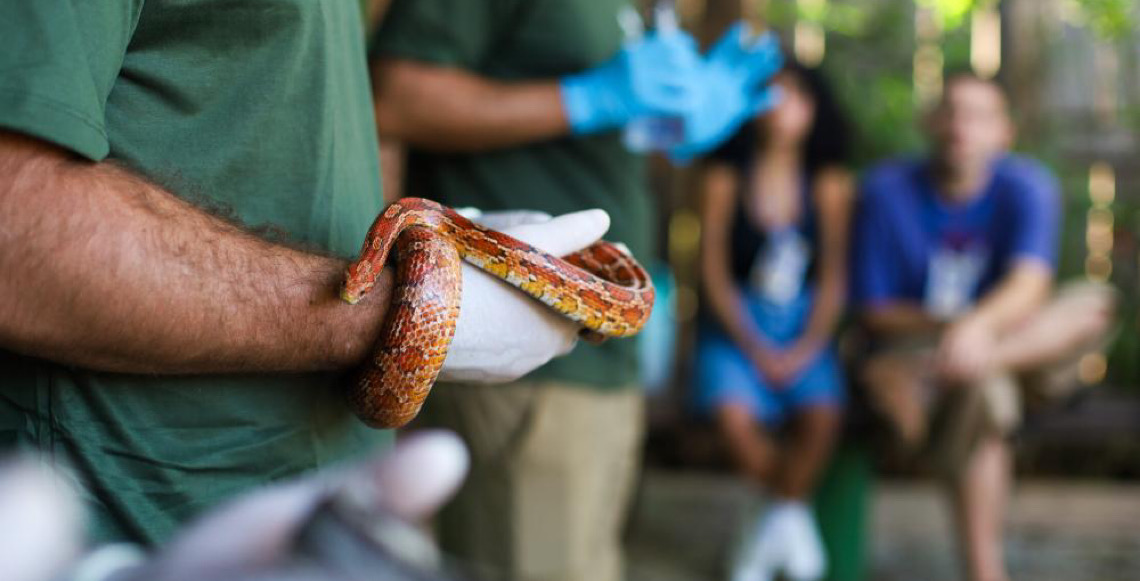 Abertas inscrições para estágio supervisionado obrigatório do Zoológico de Brasília