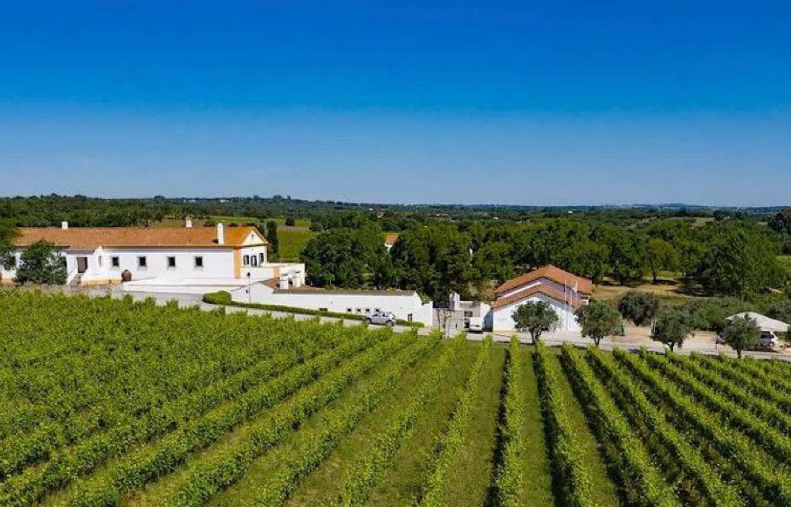 Vinho português pode ultrapassar argentino com queda de imposto no Brasil