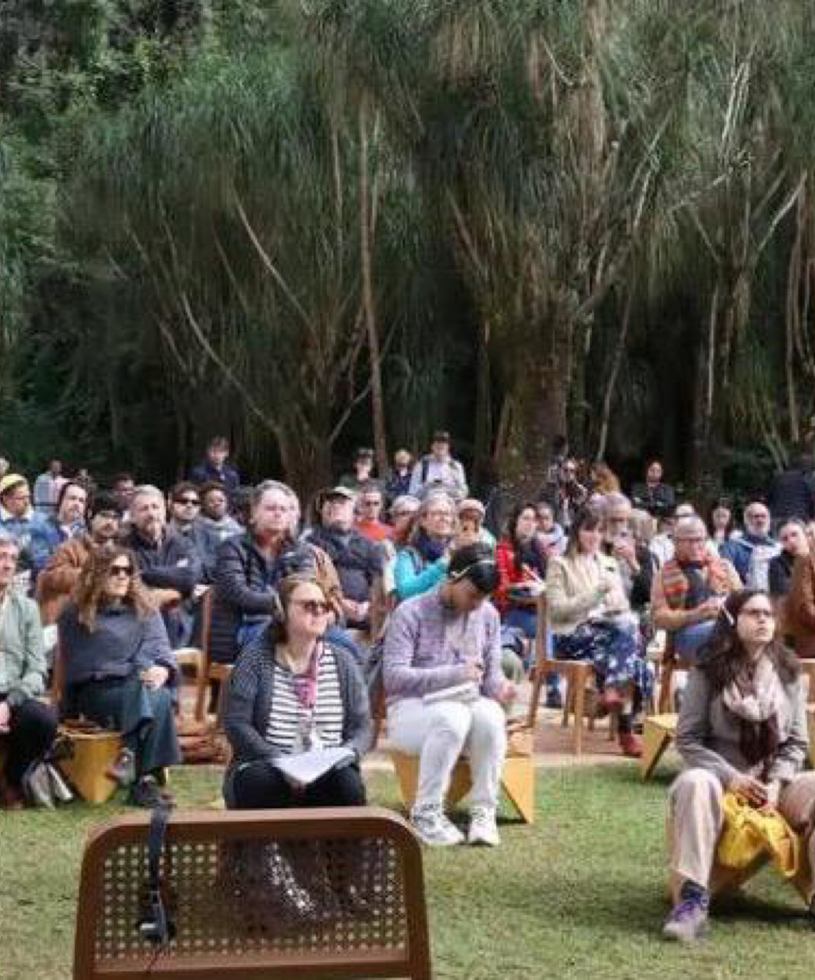 Urbanismo deve incorporar florestas às cidades, defendem pesquisadores