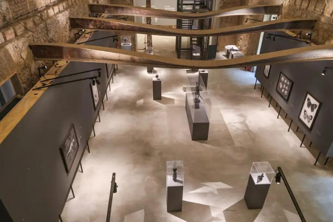 Museu Nacional, no Rio de Janeiro, lança exposições inéditas em comemoração aos 208 anos