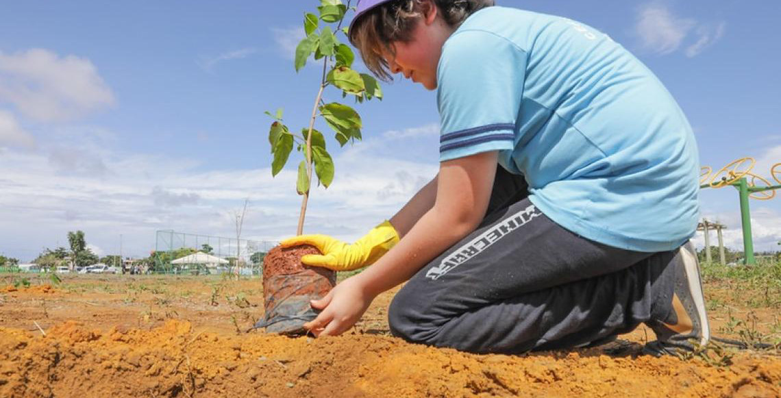 Programa de reflorestamento do Cerrado vai reforçar a segurança hídrica do DF