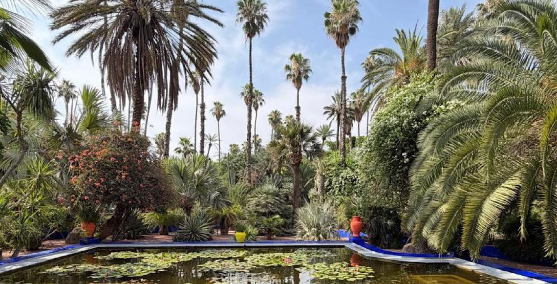 Obra de arte a céu aberto com plantas do mundo: A Marrakech que encantou Yves Saint Laurent