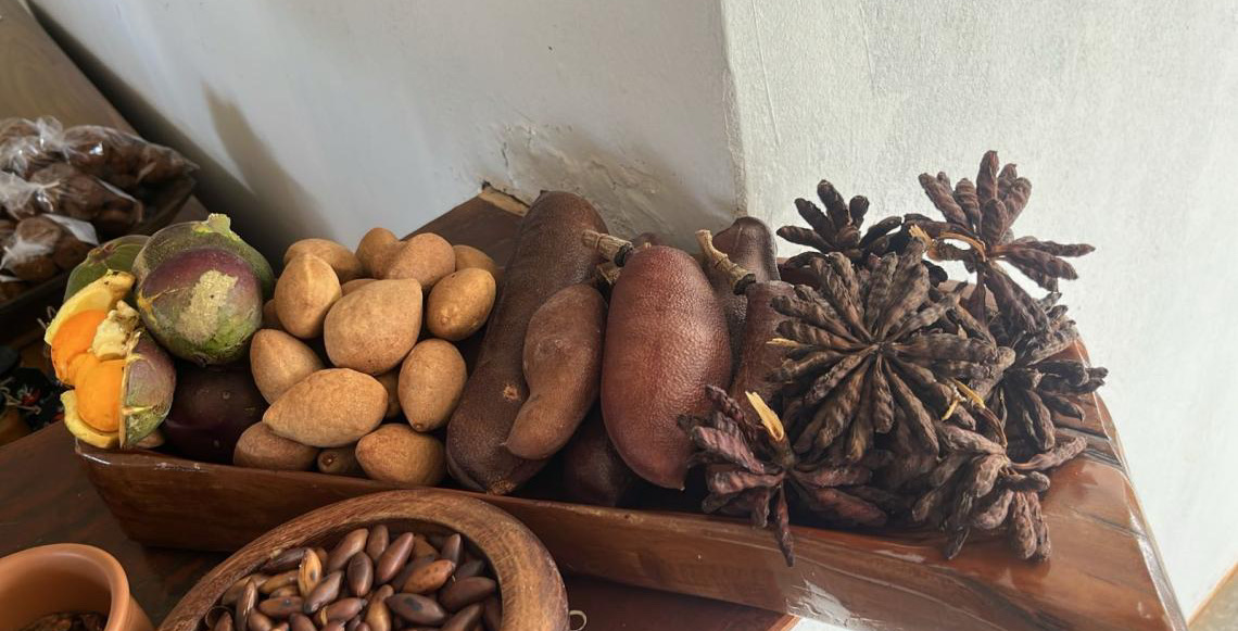 Projeto foca potencial dos produtos do Cerrado e aponta caminhos para a restauração produtiva