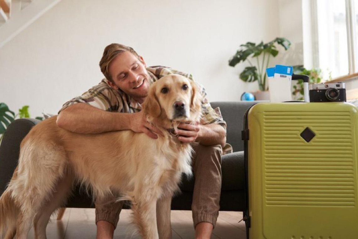 Ministério do Turismo prorroga prazo para responder pesquisa sobre o mercado pet friendly