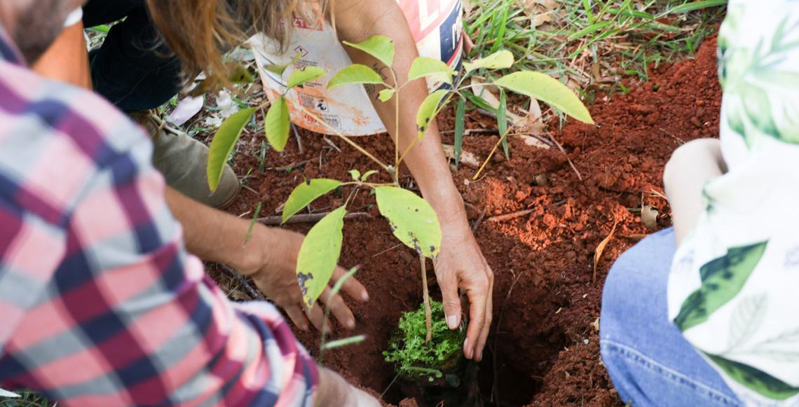 Escola da Natureza celebra 30 anos de educação ambiental no Distrito Federal